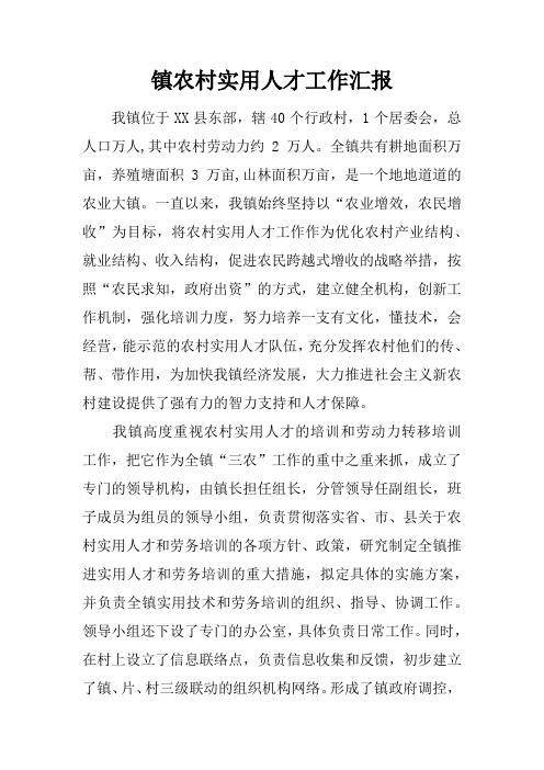 镇农村实用人才工作汇报