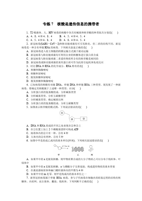 2023《微专题小练习》生物新教材XL-7专练7 核酸是遗传信息的携带者