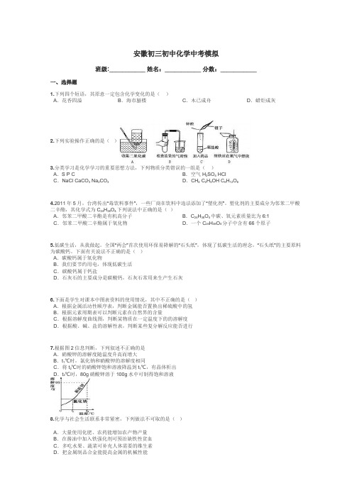 安徽初三初中化学中考模拟带答案解析
