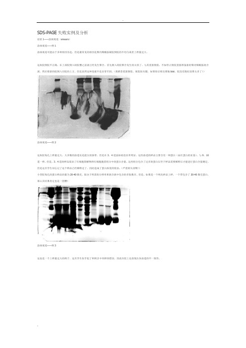 SDS-PAGE失败案列及分析