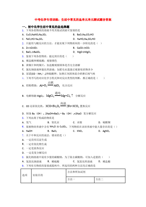 中考化学专项训练:生活中常见的盐单元单元测试题含答案