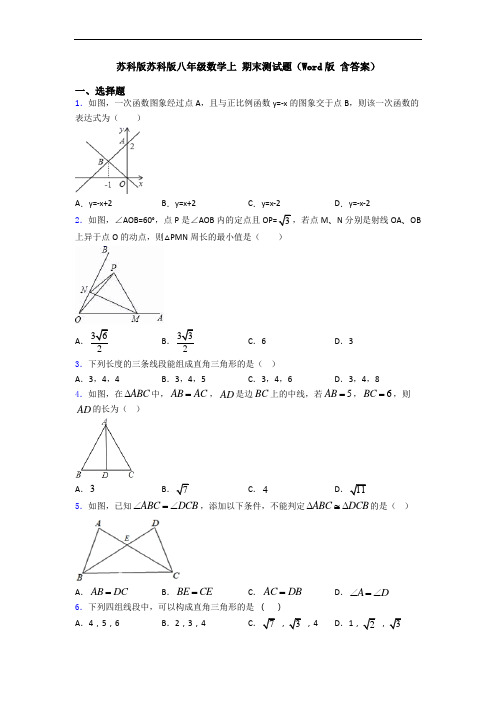 苏科版苏科版八年级数学上 期末测试题(Word版 含答案)