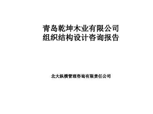 某咨询青岛乾坤组织结构设计咨询报告