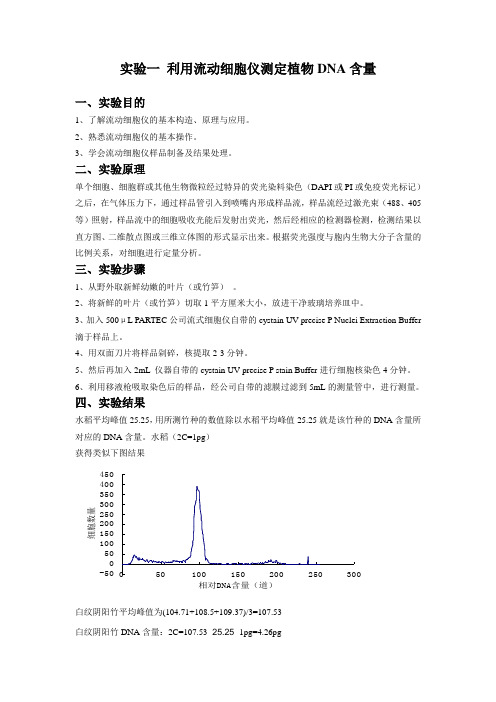 植物显微技术实验报告