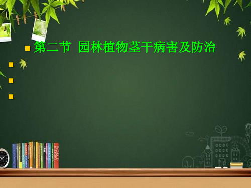 园林植物茎干病害及防治 PPT