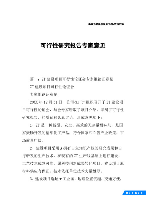 可行性研究报告专家意见