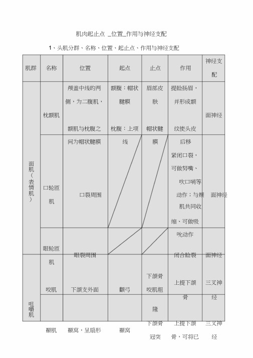 0康复肌肉起止点_作用_神经支配