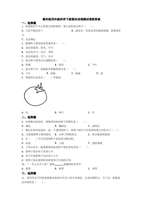 教科版四年级科学下册期末试卷测试卷附答案