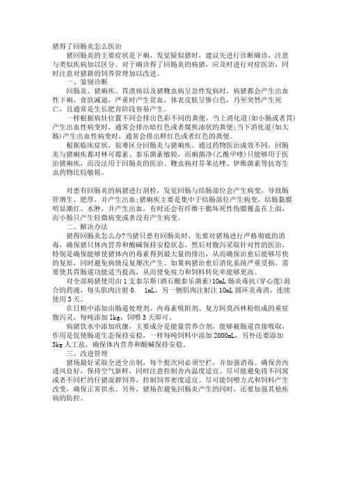 猪得了回肠炎怎么治疗