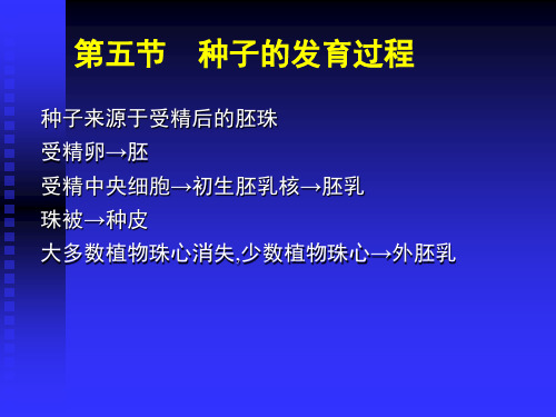 种子的发育过程