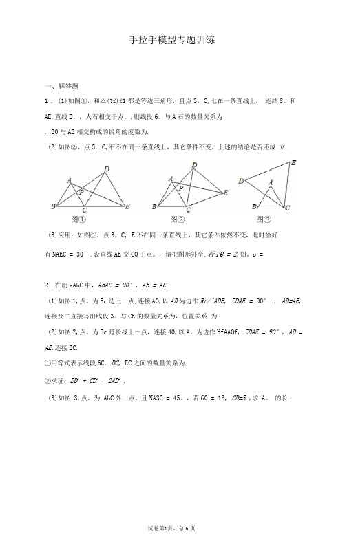 手拉手模型专题训练含解析