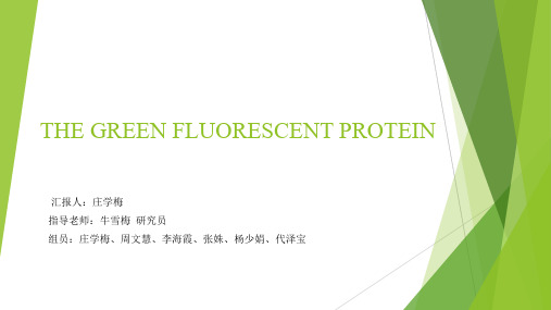GFP的发展史