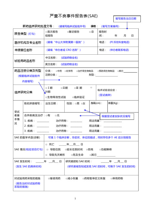 sae报告表填报指引