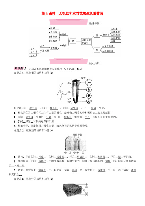 中考科学复习 第1部分 生命科学 第4课时 无机盐和水对植物生长的作用(精讲)试题