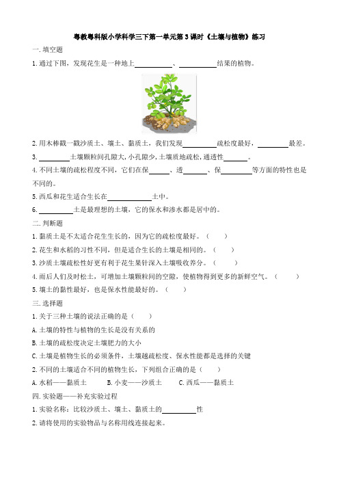 粤教粤科版 小学科学三下第一单元第3课时《土壤与植物》练习
