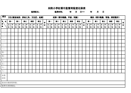 少先队检查表公示