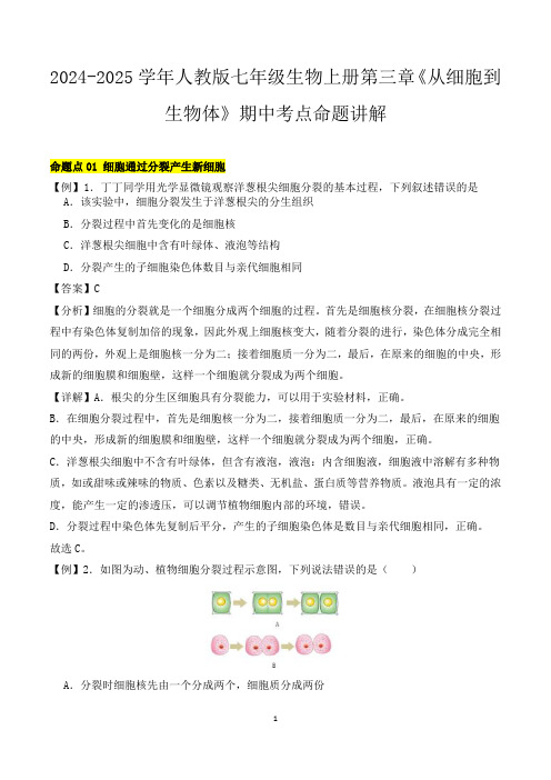 2024-2025学年人教版七年级生物上册第三章《从细胞到生物体》期中考点命题讲解