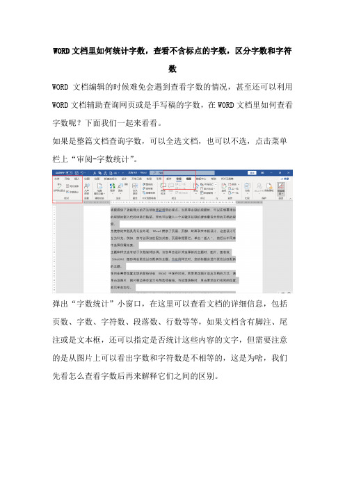 WORD文档里如何统计字数,查看不含标点的字数,区分字数和字符数