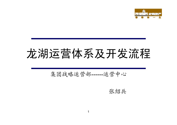 龙湖运营体系及商业地产开发流程(94页)