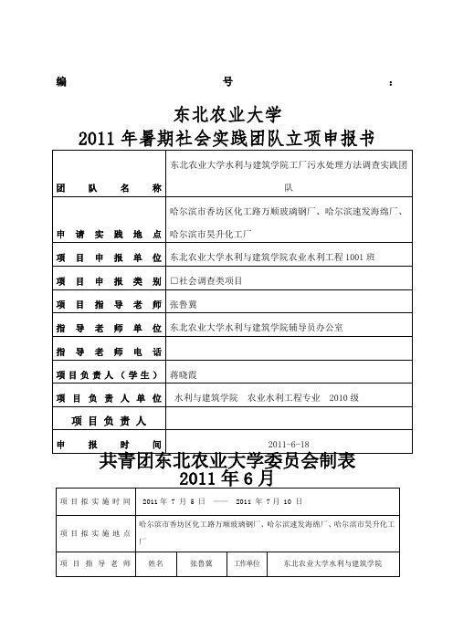 暑期社会实践重点团队立项申报书