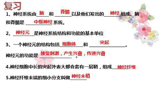 第三节神经调节的基本方式课件人教版七年级生物下册