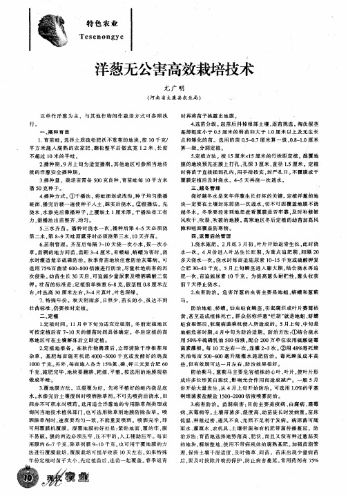 洋葱无公害高效栽培技术