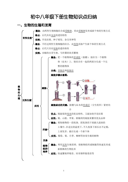 初中生物：初中八年级下册生物知识点归纳【记忆宝典】