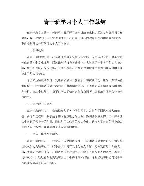 青干班学习个人工作总结