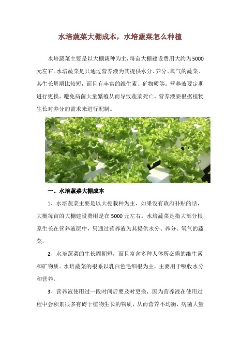 水培蔬菜大棚成本,水培蔬菜怎么种植