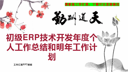 初级ERP技术开发年度个人工作总结和明年工作计划PPT模板下载