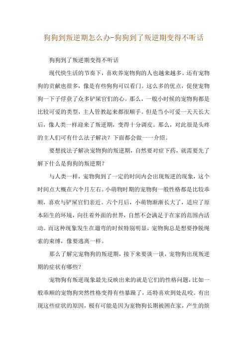 狗狗到叛逆期怎么办-狗狗到了叛逆期变得不听话