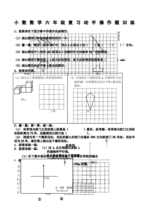 六年级数学下册操作题专项训练