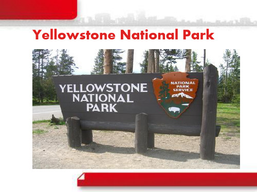 Yellowstone Nation Park 黄石国家公园