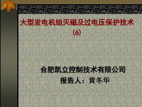 2006年水电励磁会议专题：《大型发电机组灭磁及过电压保护技术之六.ppt》(黄冬华)