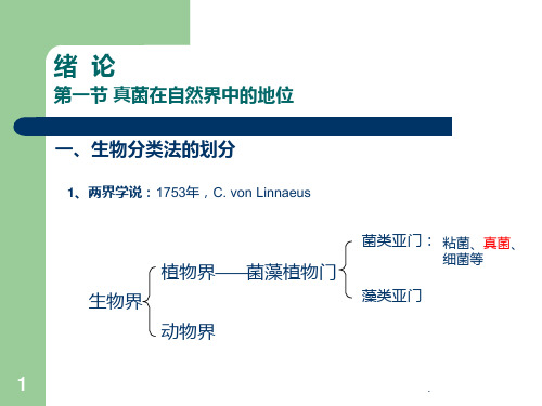 食用菌栽培学PPT课件