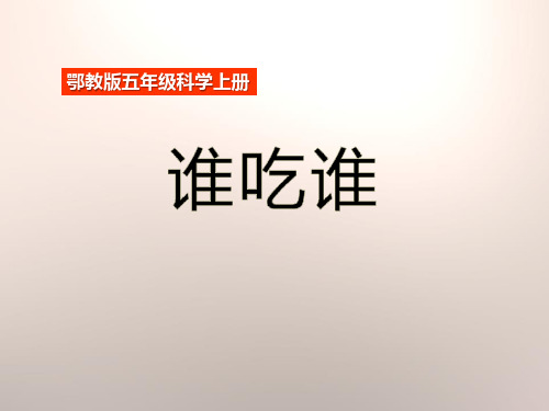 鄂教版五年级科学上册《谁吃谁》PPT课件(2篇)