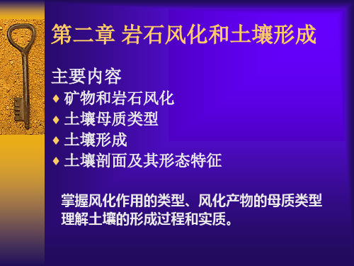 大学土壤学课件 风化与土壤形成