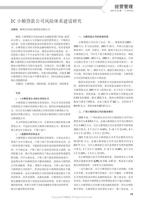 DC_小额贷款公司风险体系建设研究