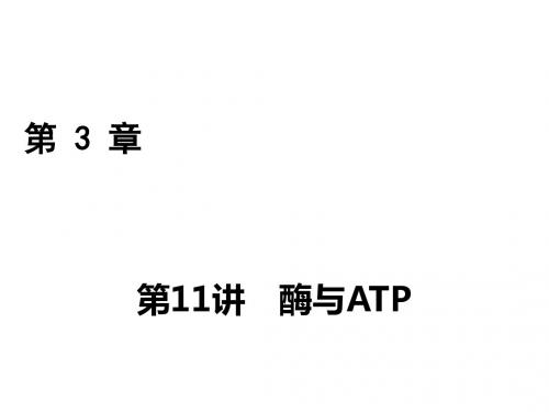 2018年高考生物一轮复习课件：第三章 细胞的能量供应和利用 第11讲