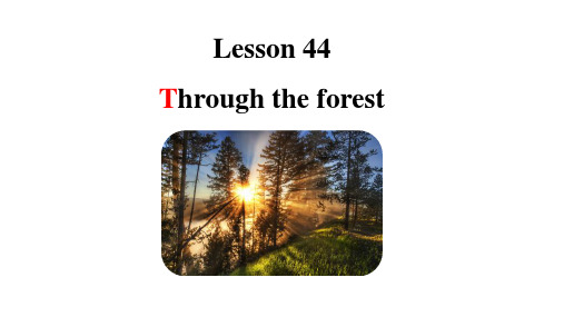 新概念英语第二册Lesson44——through the forest 课件