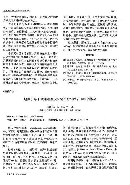 超声引导下微通道经皮肾镜治疗肾结石100例体会