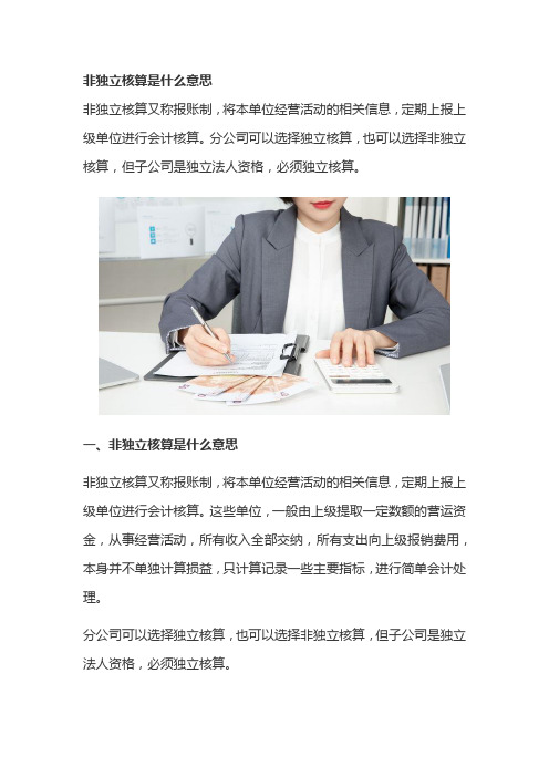 非独立核算是什么意思