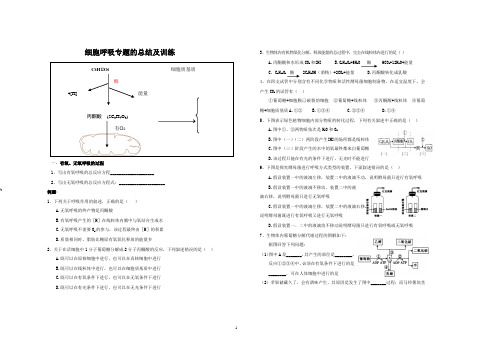 细胞呼吸专题及其训练