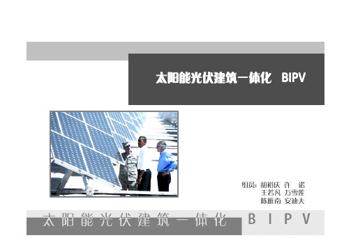 BIVP 太阳能建筑一体化