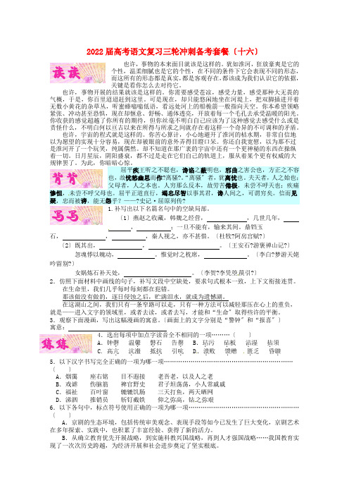 2221届高考语文三轮冲刺备考复习套餐(十六) 新人教版