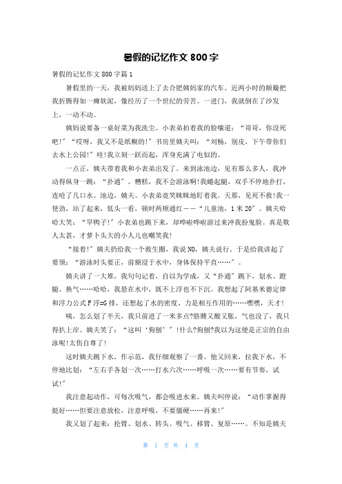 暑假的记忆作文800字