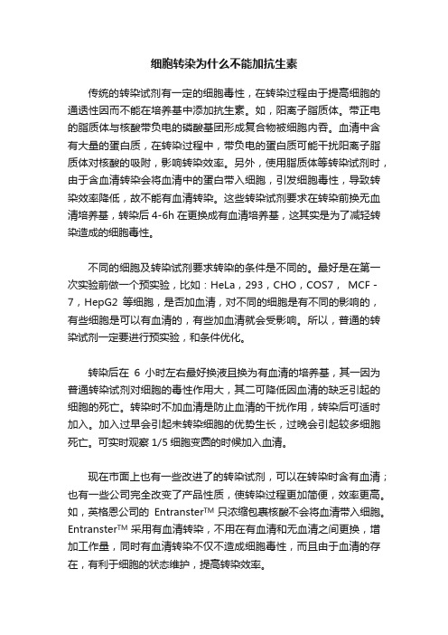 细胞转染为什么不能加抗生素