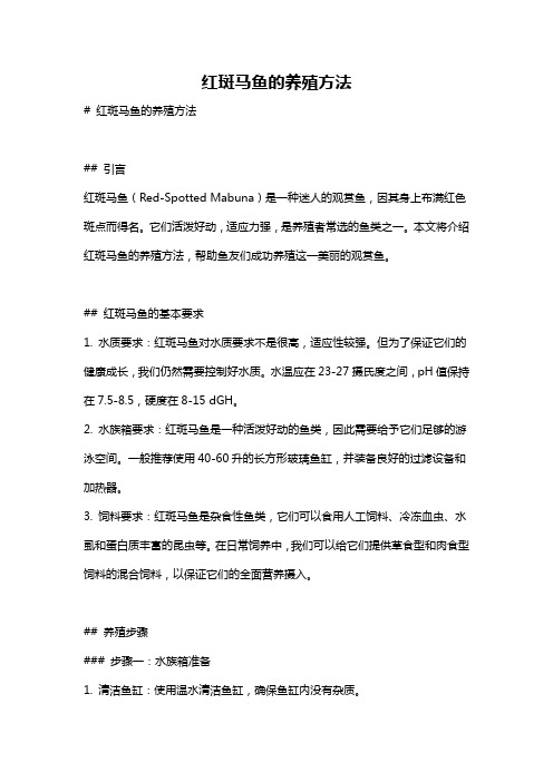 红斑马鱼的养殖方法