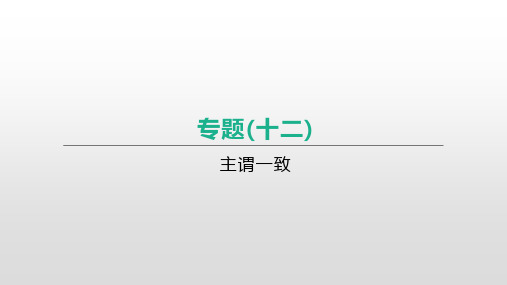 2021年江苏淮安中考英语语法专项复习课件：专题(12)-主谓一致