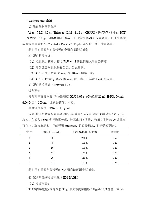 蛋白提取及WB步骤